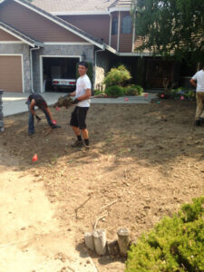 How to Turn Your Lawn into a Food Forest Image